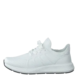 441-6267 White