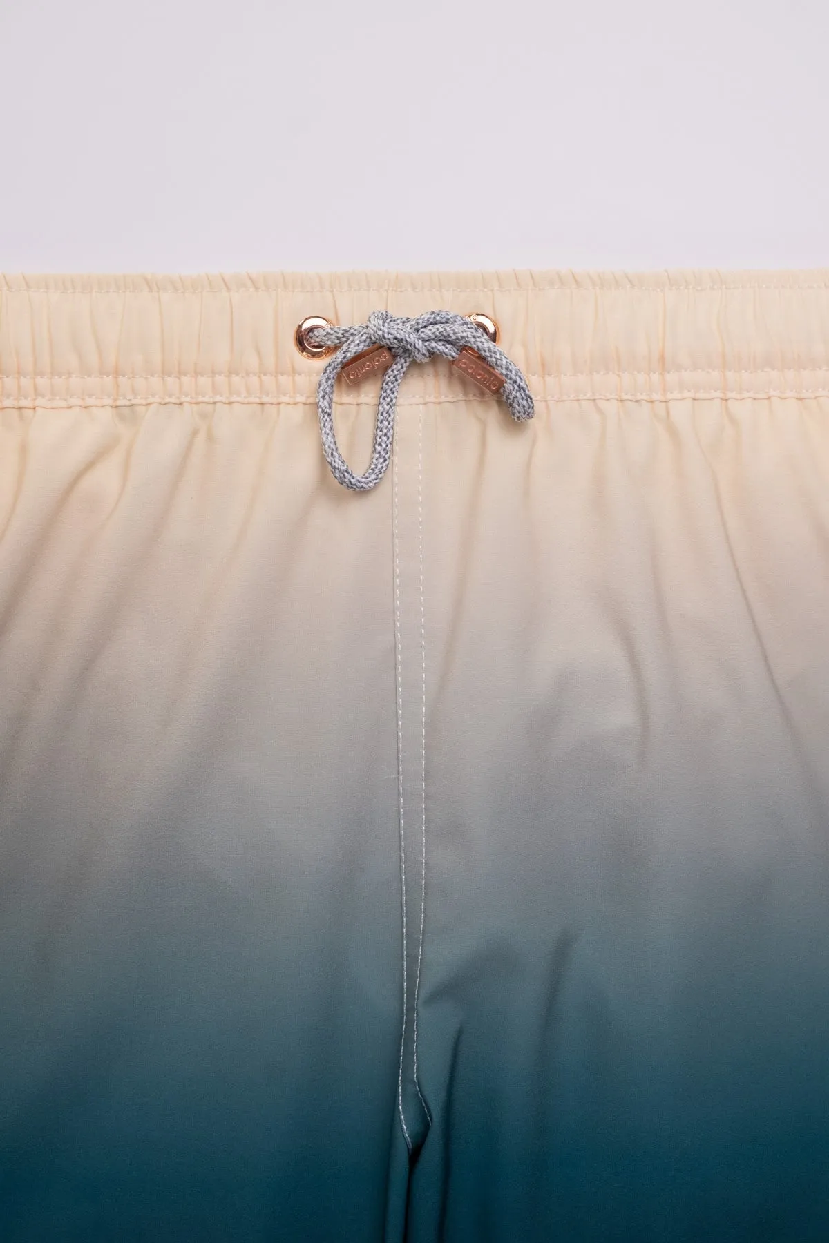 Classic Swim Trunks in Gradient