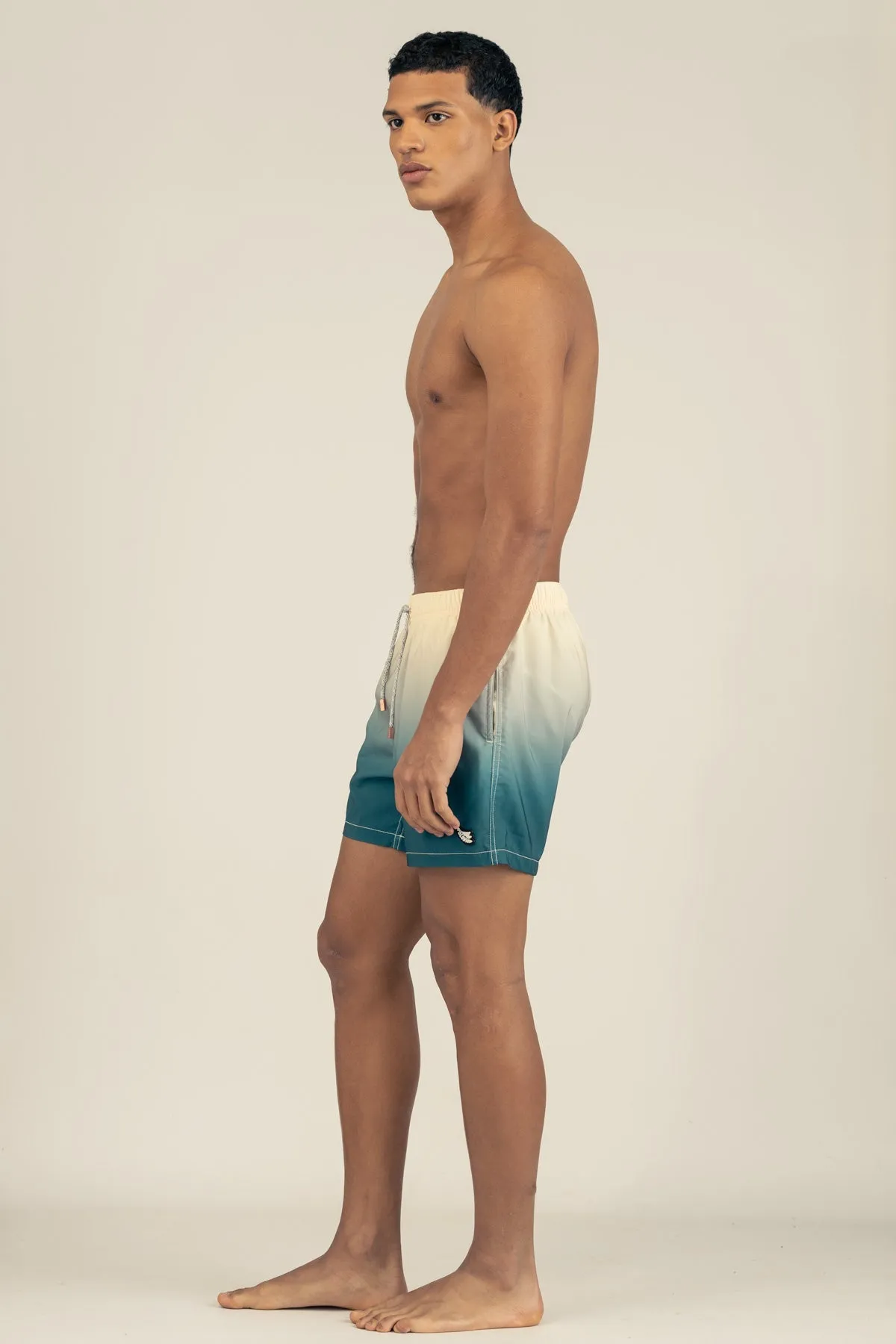 Classic Swim Trunks in Gradient