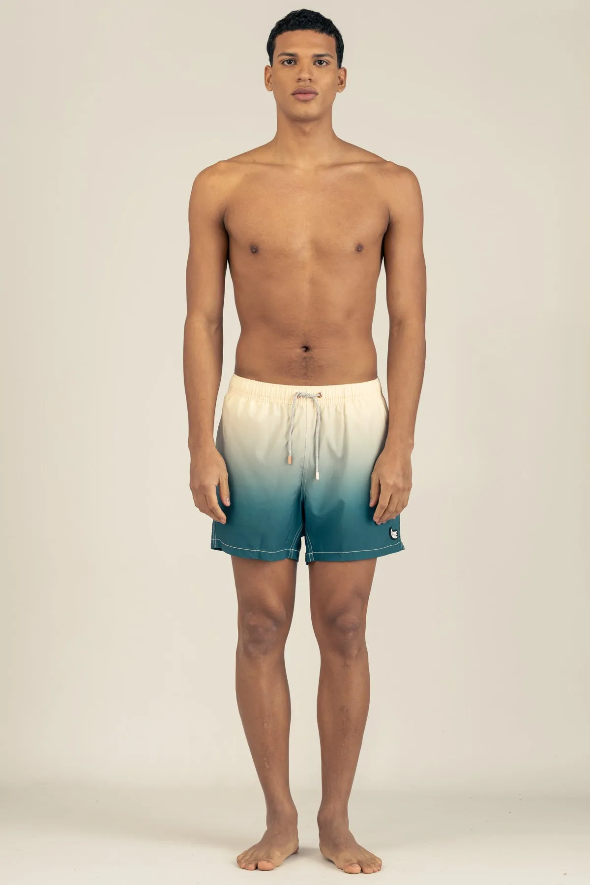 Classic Swim Trunks in Gradient