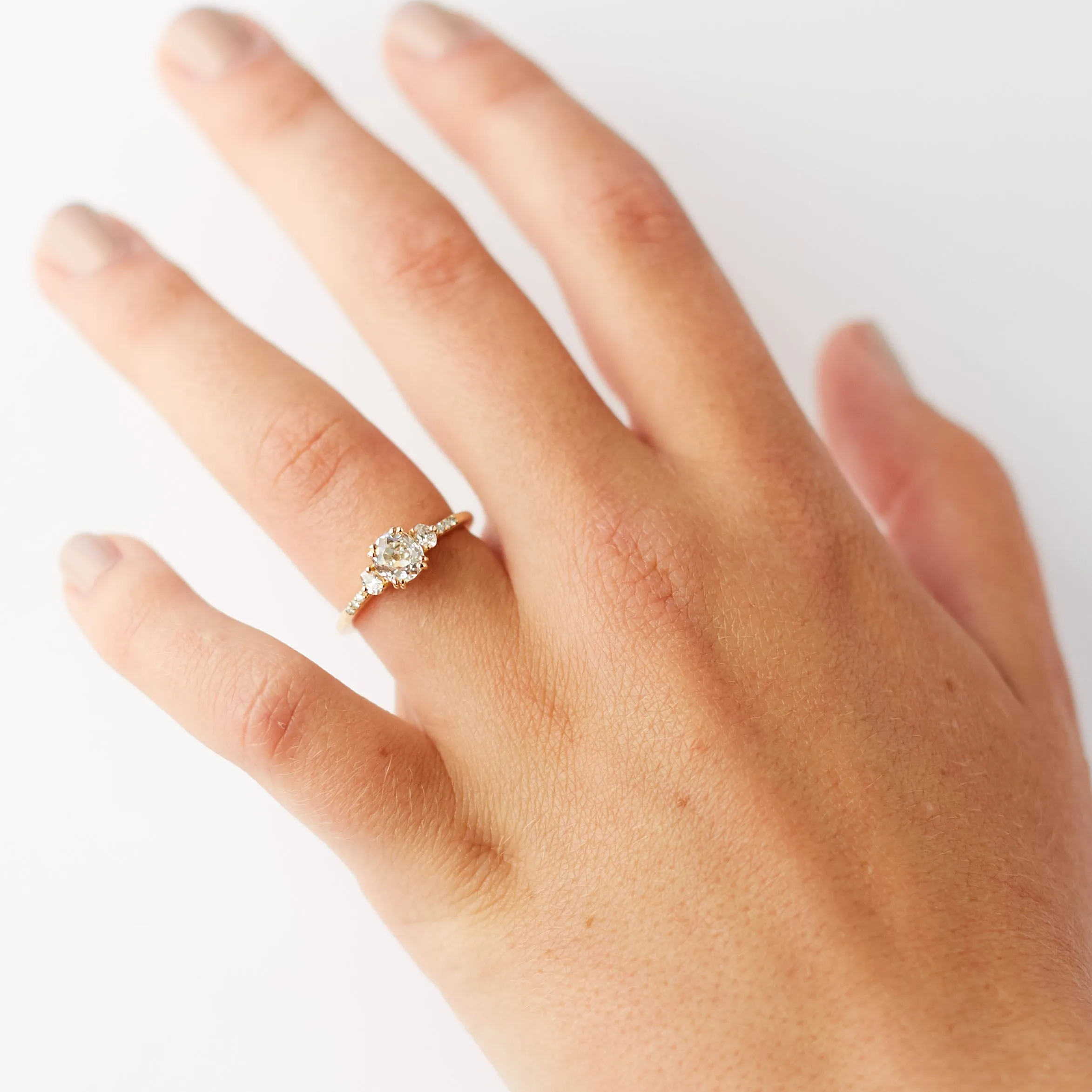 Customizable Laurel Setting